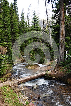 Hiking trail crossing mountain creek