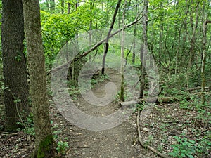 Hiking Trail in Delaware County