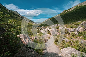 Hiking trail in Denali National Park to the Savage River