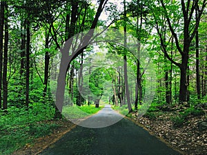 The hiking trail from Dennis Hill State Park