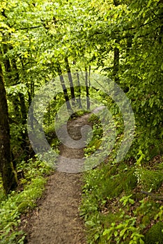 On the Hiking Trail Eifelsteig