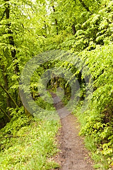 On the Hiking Trail Eifelsteig