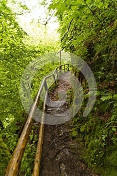 On the Hiking Trail Eifelsteig