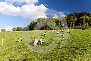 On the Hiking Trail Eifelsteig
