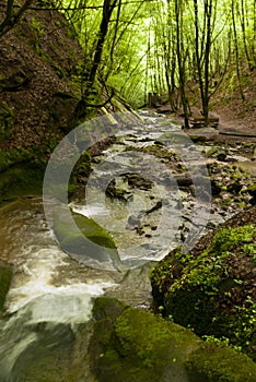 On the Hiking Trail Eifelsteig