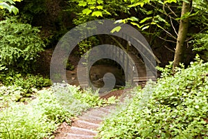 On the Hiking Trail Eifelsteig