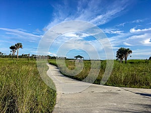 hiking trail in the Everglades