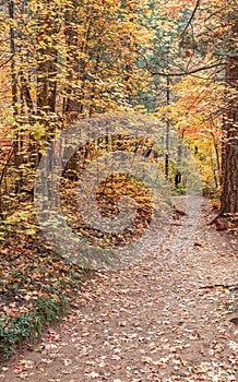 Hiking Trail in Fall