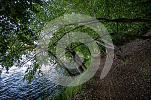 Hiking on a trail at the Feldberger Seenlandschaft