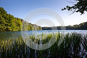 Hiking on a trail at the Feldberger Seenlandschaft