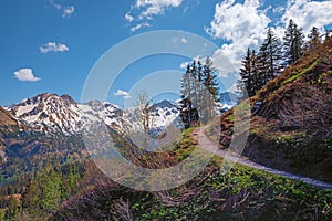 Hiking trail fellhorn mountain, allgau alps, autumnal landscape