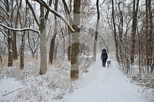A winter hike in deep snow, at the forest. IIIII