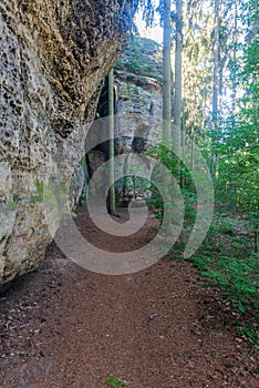 Hiking trail in forest with sandstone rock massif in CHKO Kokorinsko - Machuv kraj in Czech republic photo