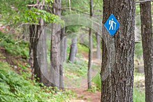 Hiking Trail in Frontenac Park