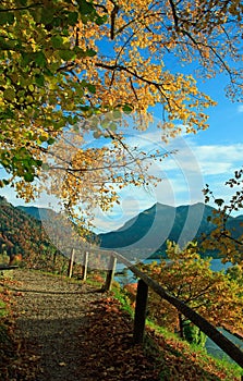 hiking trail in golden autumnal landscape, lake schliersee, bavaria