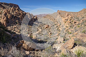 Hiking trail in Grapevine Hills, Big Bend National Park, Texas