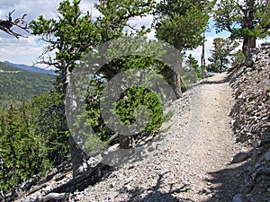 Hiking trail in the Great Basin National Park, Nevada