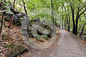 Hiking trail `Harzer Hexenstieg` in Harz mountains