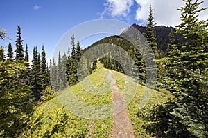 Hiking trail heads up a steep mountain ridge