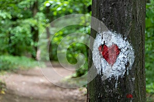 Hiking trail heart shape sign on the tree in national park Fruska gora in Serbia