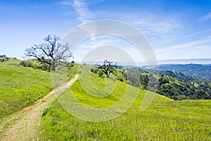 Hiking trail in in Henry W. Coe state park, California