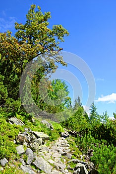 Hiking trail in High Tatra Mountains