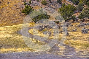 Hiking trail on a hill in Goshen Canyon Utah