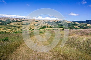 Hiking trail on the hills of north San Francisco bay, California