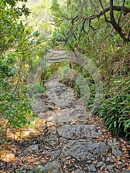 Hiking trail on the island of Madeira