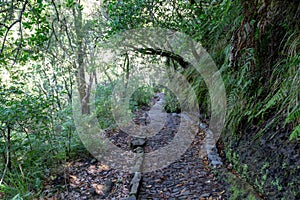 Hiking trail on the island of Madeira, Portgual