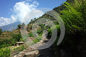 Hiking trail from Karikhola to Bupsa in green mountains - lower part of Everest trek