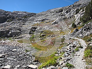 Hiking trail in Kings Canyon National Park