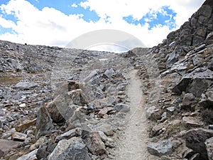 Hiking trail in Kings Canyon National Park