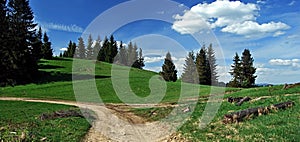 Hiking trail in Kysucke Beskydy with meadow and tree