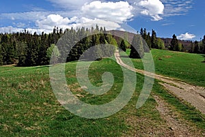 Hiking trail in Kysucke Beskydy with meadow and tree