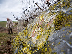 Hiking on the trail of Lahnwanderweg near Runkel, Hessen, Germany