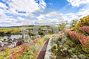 Hiking trail Landscape at the Moselle near Uerzig in autumn