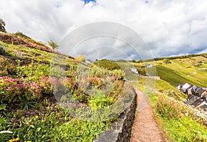 Hiking trail Landscape at the Moselle near Uerzig in autumn