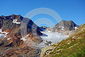 Hiking trail leading from Ridnaun Valley to the top of Wilder Freiger glacier located in Alps on the border of Austria and Italy,