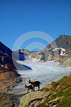 Hiking trail leading from Ridnaun Valley to the top of Wilder Freiger glacier located in Alps on the border of Austria and Italy,