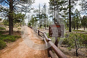 Hiking trail leading through stunning red sandstone hoodoo formations in Bryce Canyon National Park in Utah, USA