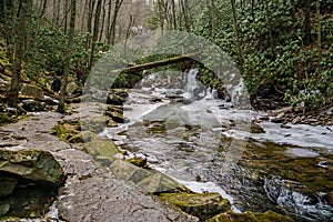 A Hiking Trail by Little Stony Creek