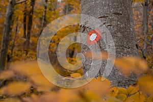 Hiking trail mark in autumn