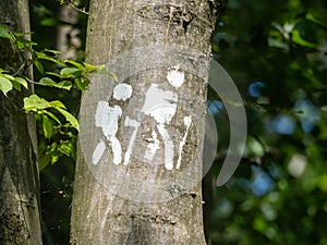 Hiking trail mark painted on a tree