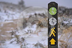 Hiking trail marker blaze on wooden pole against beautiful frozen gorse flowers along path to Fairy Castle