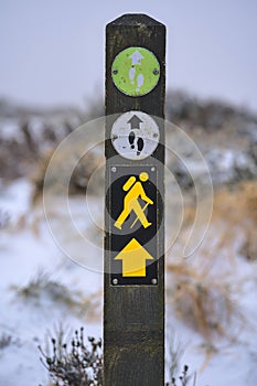 Hiking trail marker blaze on wooden pole against beautiful frozen gorse flowers along path to Fairy Castle Two