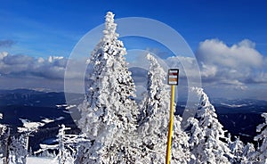 Hiking trail marker with frozen trese in beskids