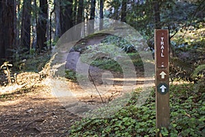 Hiking trail marker