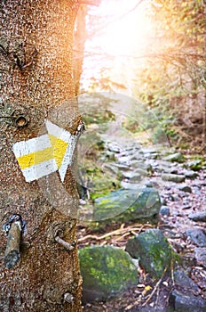 Hiking trail marker on a tree in mountain forest
