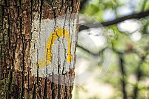 Hiking trail marker